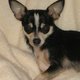 Mom2Lola