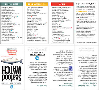 Monterey Bay Aquarium Seafood Watch Program Helps Consumers Make Better Seafood Choices