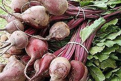 Beet Greens Taste Great and Are Good For You Beet Greens Taste Great and Are Good For You