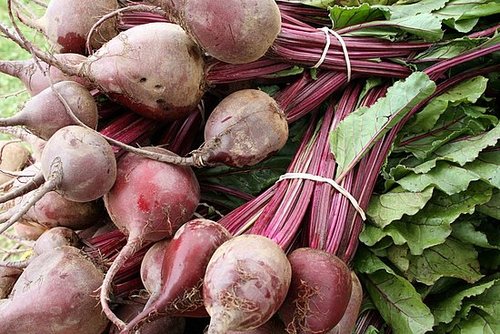 Beet Greens Taste Great and Are Good For You
