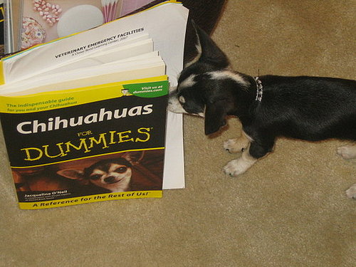 Continuing Education