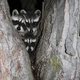 LisaC261's picture