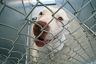What's Your Take: Oreo's Law?