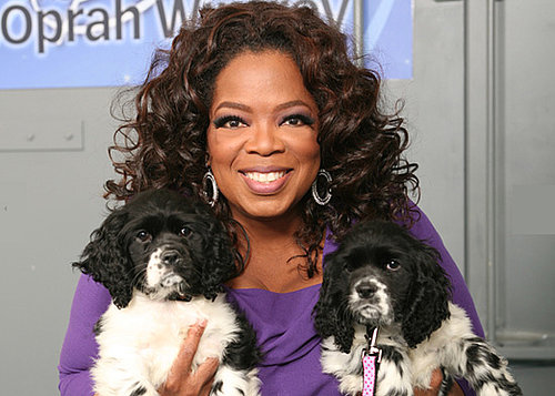 Oprah's New Puppies Named Sunny and Lauren