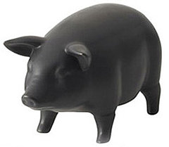 Photos of the Pig Speaker