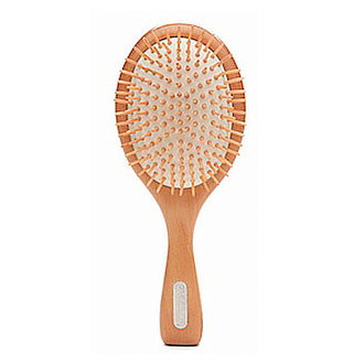 Hairbrush Quiz Hairbrush Quiz