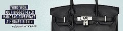 And the Winner of the Hermès Birkin Bag is . . . 