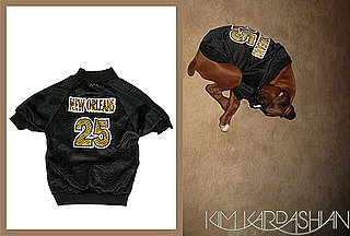 Found! #25 Saints Dog Jersey Worn by Reggie's Pooch, Rocky