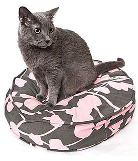 New Product Alert! Molly Meow