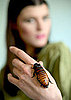 Summer Rayne Oakes Raises Exotic Insects in Her Bedroom