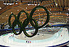 Poll of Winter Olympic Sports
