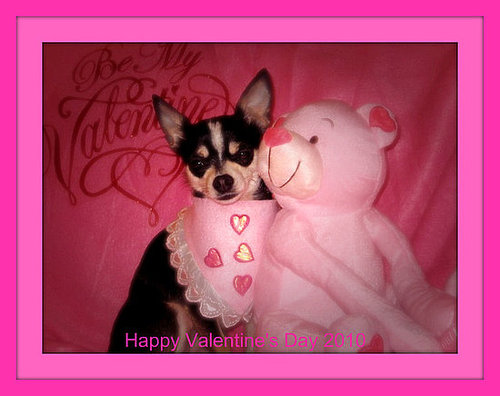 Happy Valentine's Day