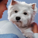 What Do You Cherish Most About Being With Your Companion? What Do You Cherish Most About Being With Your Companion?