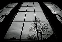 Suicide Facts and Myths Suicide Facts and Myths