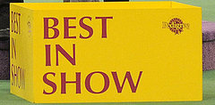 Did the Scottish Terrier Win? Sadie Won Westminster 2010