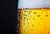 Light Beer: Love It or Hate It? 