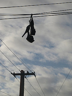 Weird News 2010-02-21 08:00:09