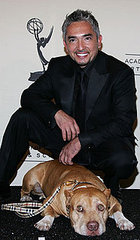 Cesar Millan's Dog Died