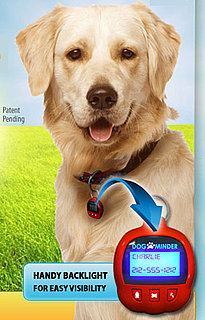 Dog-e-Minder: Spoiled Sweet or Spoiled Rotten?