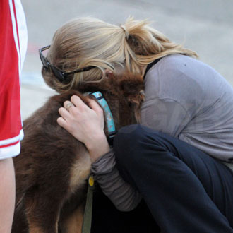 Guess Who's Petting Her Puppy? Guess Who's Petting Her Puppy?