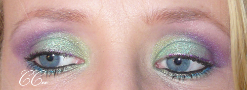 January 23rd 2010