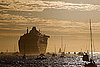 Picture It: The Queen Sea