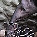 Is This Creature Cool or Creepy?