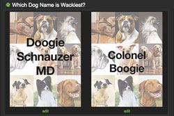 So Many Silly Pet Names, Such Little Time!