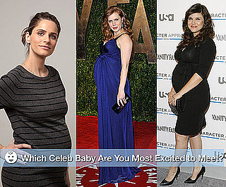 Celebrity Pregnancies 2010-03-13 12:00:23