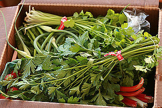 Poll: Do You Subscribe to Community Supported Agriculture?