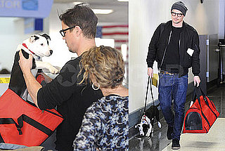 Photos of Josh Hartnett With His Dog at LAX