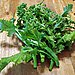 Broccoli Rabe 