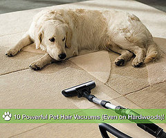 10 Powerful Pet Hair Vacuums (Even on Hardwoods)! 10 Powerful Pet Hair Vacuums (Even on Hardwoods)!