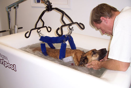 VetSystems Canine Whirlpool