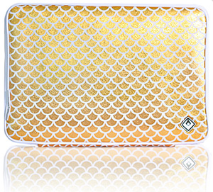 Photos of ISIS Laptop Sleeves