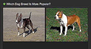 Do You Know Which Breed Is More Popular? 2010-04-02 04:00:41