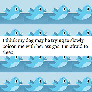 Quiz on Favorite Popular Celebrity Tweets on Twitter 2010-03-24 16:30:10