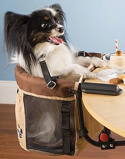 Pet High Chair: Spoiled Sweet or Spoiled Rotten?