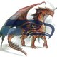 DragonHawker