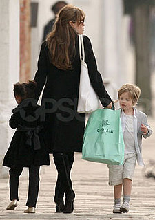 Are You Happy Angelina Investigated Her Pony-Hair Bag Before Buying?