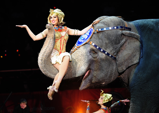 Tips to Prepare a Child For the Circus Tips to Prepare a Child For the Circus