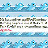 April Fools' Day Celebrity Twitter Quiz