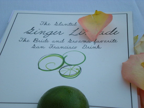 The Cocktail Signs