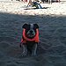 Beach fun