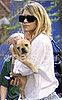 Ashley Olsen Gets a French Bulldog 2010-04-07 15:10:59