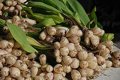 How to Cook With Ramps How to Cook With Ramps