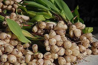 How to Cook With Ramps