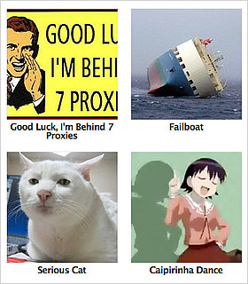 Know Your Meme Lists Hilarious Internet Memes