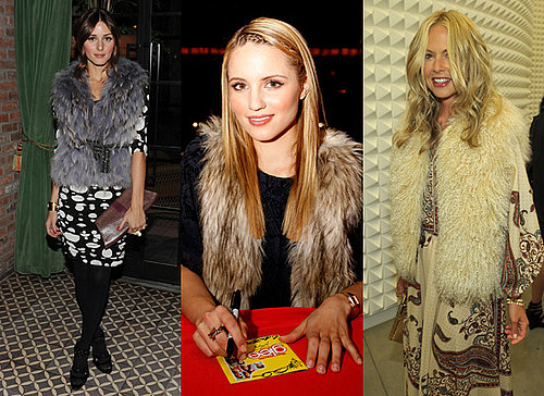 The Top Faux Fur Vests