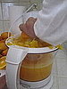 Do You Own an Electric Juicer?